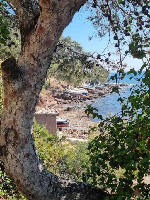 Appartement T2 A Fabregas, Proche Des Sablettes La Seyne-sur-Mer Esterno foto