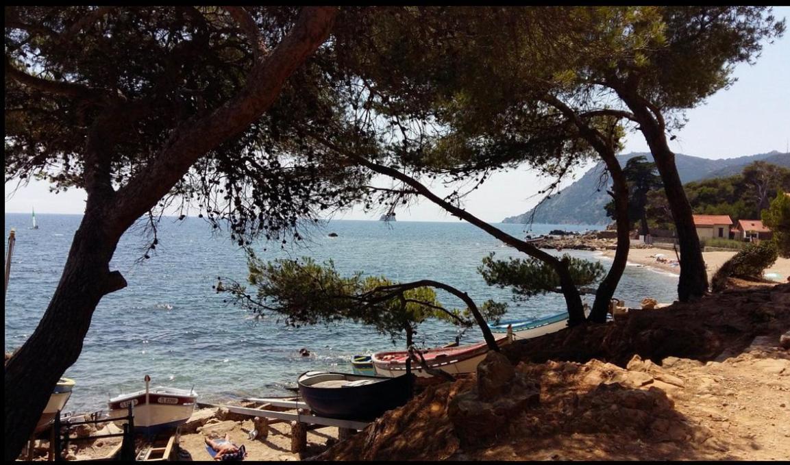 Appartement T2 A Fabregas, Proche Des Sablettes La Seyne-sur-Mer Esterno foto